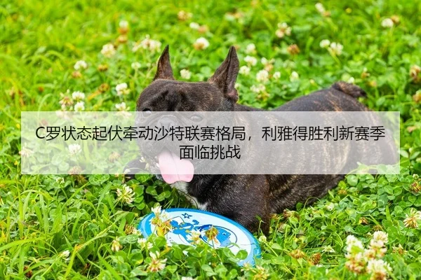 C罗状态起伏牵动沙特联赛格局，利雅得胜利新赛季面临挑战